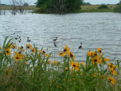 Link lake